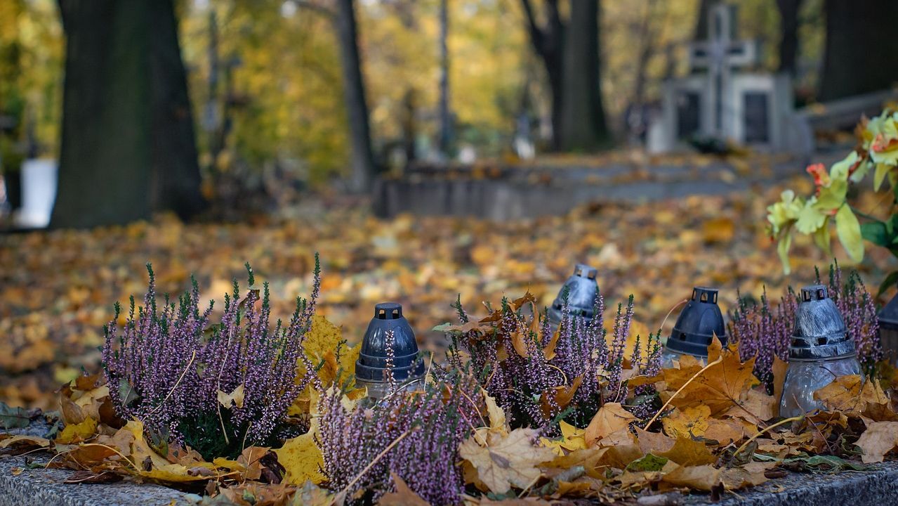 Im Herbst gibt es auf dem Friedhof vieles zu entdecken.